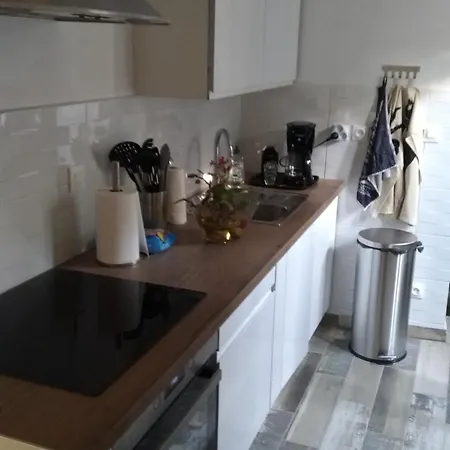 Apartamento Ensoleillé Avec Jardin Et Barbecue