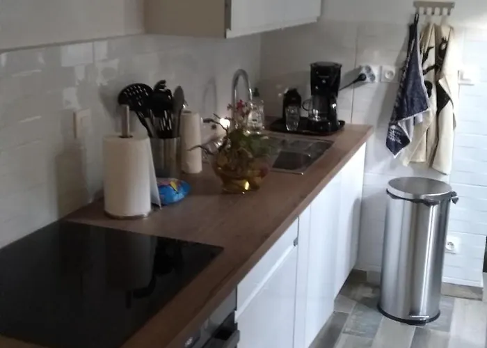 Apartment Ensoleille Avec Jardin Et Barbecue