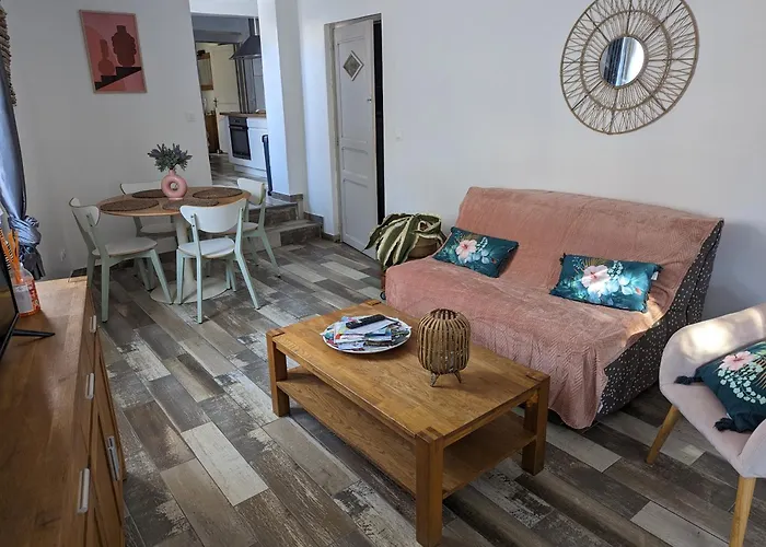 Ensoleille Avec Jardin Et Barbecue